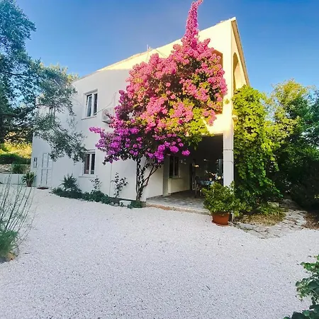 Olive Garden * Poljica (Trogir)