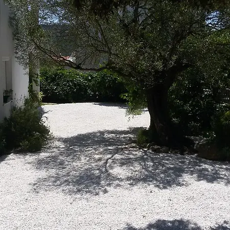 Lägenhet Olive Garden