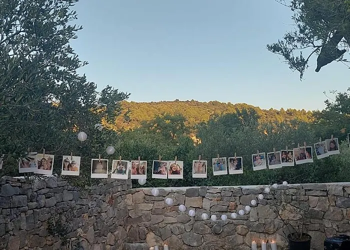 Olive Garden شقة *