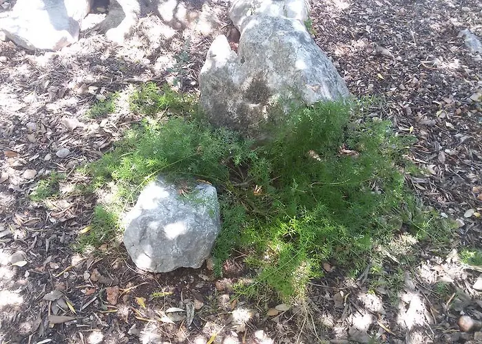 شقة Olive Garden Poljica (Trogir)